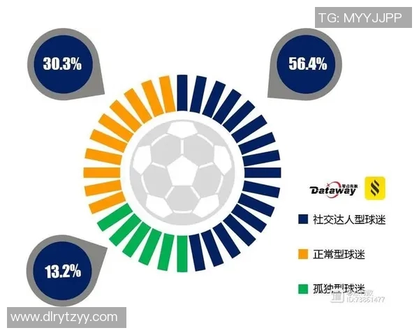欧洲杯球迷支持与主场优势关系研究